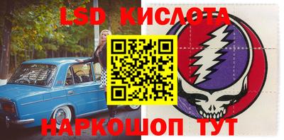 PSILOCYBIN Заводоуковск