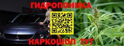 PSILOCYBIN Заводоуковск