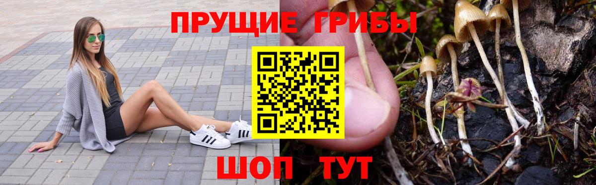 Надым  Галлюциногенные грибы Psilocybe  Вход с VPN 