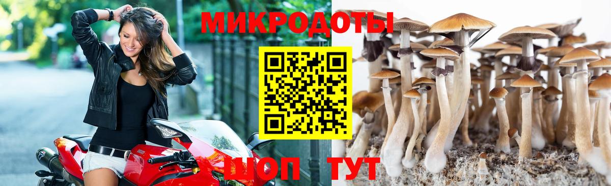 Псилоцибиновые грибы GOLDEN TEACHER Надым